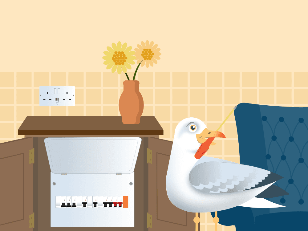 Reliable electrical services in Hutton